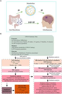 Dissecting causal relationships between gut microbiota, blood metabolites, and glioblastoma multiforme: a two-sample Mendelian randomization study